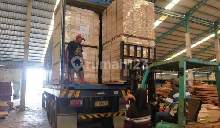 Wood industry manufacturing in Indonesia for sale 3
