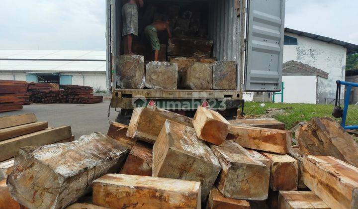 Wood industry manufacturing in Indonesia for sale 6
