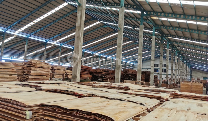 Penjual ASLI PT Pabrik Kayu AKTIF all in siap Ekspor  7