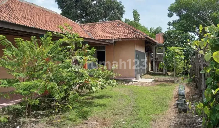 Dijual Rumah Luas Di Kedaung Wetan 1
