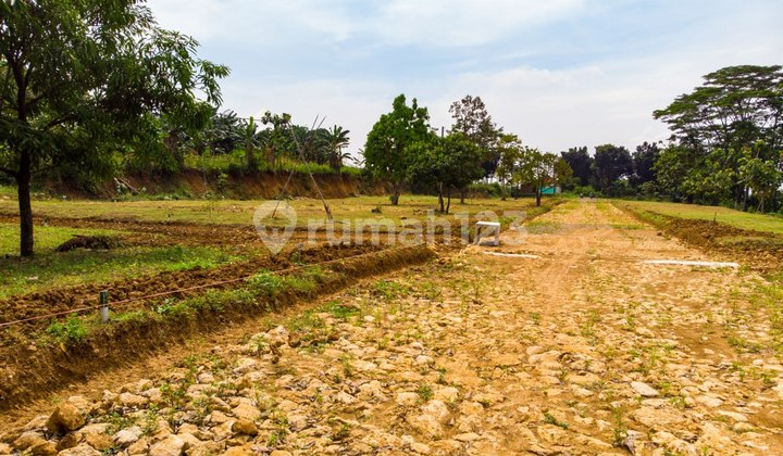 Kavling Strategis Harga Ekonomis Capital Gain Tinggi  4