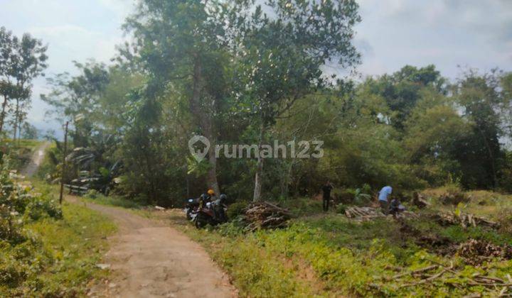 Di Jual Tanah Kavling A1 di Sumberagung 3 Moyudan Sleman 2