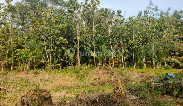 Di Jual Tanah Kavling A1 di Sumberagung 3 Moyudan Sleman 3