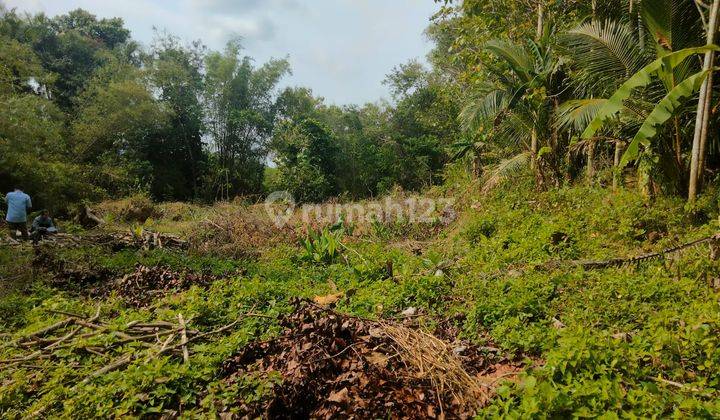 Di Jual Tanah Kavling A1 di Sumberagung 3 Moyudan Sleman 4