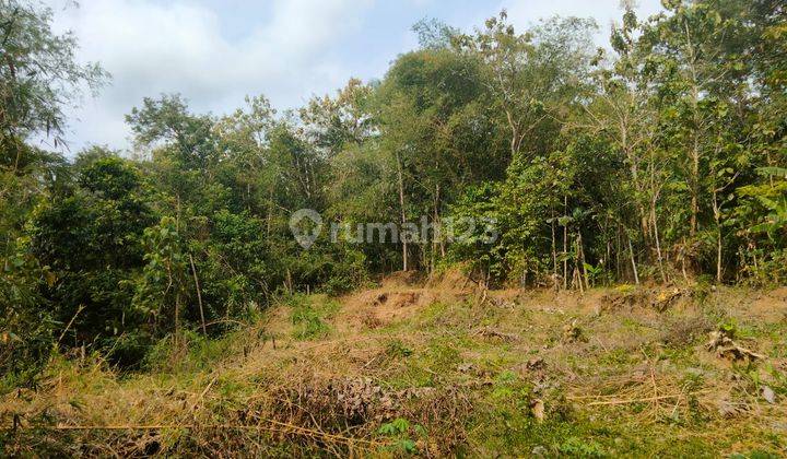 Di Jual Tanah Kavling A3 di Sumberagung 3 Moyudan Sleman 2