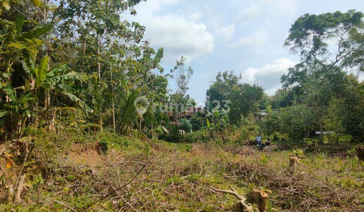 Di Jual Tanah Kavling A5 di Sumberagung 3 Moyudan Sleman 3