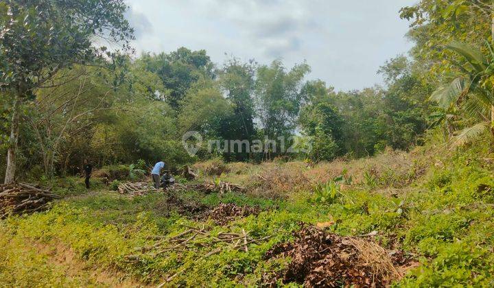 Di Jual Tanah Kavling A5 di Sumberagung 3 Moyudan Sleman 8