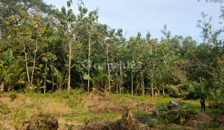 Dijual Tanah Sumberagung 3 B1 1