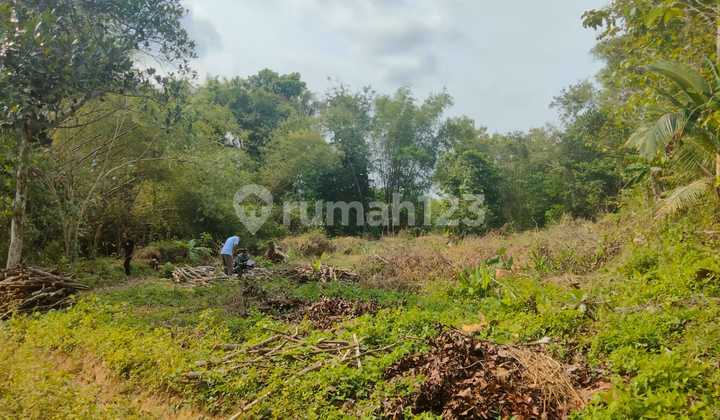 Dijual Tanah Sumberagung 3 A3 6