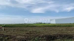 For Rent / Sale Land in Strategic Location, Laksana Business Park Warehouse Complex