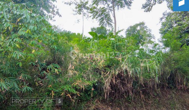 Murah Tanah di Mandalamekar Cimenyan 1,5 hektar SHM 4