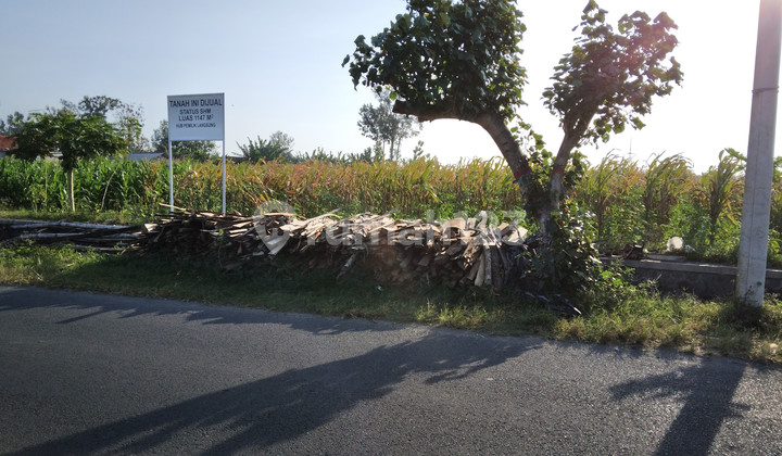 Tanah Jl. Sumba Kota Blitar Lokasi Berkembang 2
