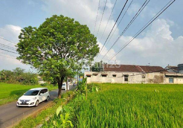 Tanah Strategis di Turirejo Jalan Ahmad Yani Lawang Malang  2