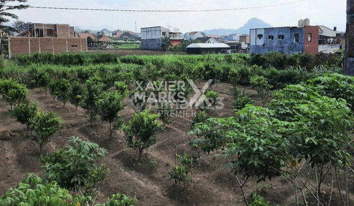 Tanah Kavling di Dadaprejo Batu Lokasi Bisa Akses Mobil  1