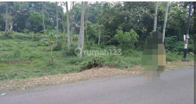 Tanah Poros Jalan di Daerah Pakisaji Malang Lokasi Strategis  3