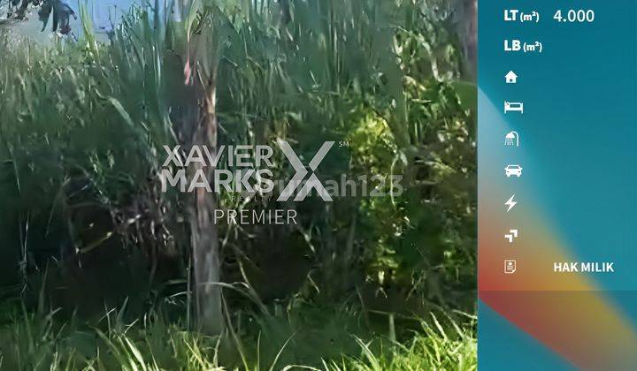 Tanah di Jalan Malik Dalam Kedungkandang Malang Akses Simpangan  1