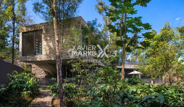 Rumah Mewah Karya Arsitek Ternama di Lereng Gunung Kawi 7