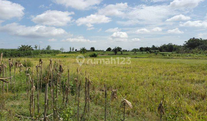 DIJUAL TANAH CINANDANG DAWAR BLANDONG MOJOKERTO RON.A609 5