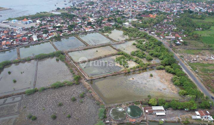 Jual Tanah Tambak, Lokasi Istimewa, Nol Jalan Propinsi, Sumber Air Ok, Siap Pakai 5