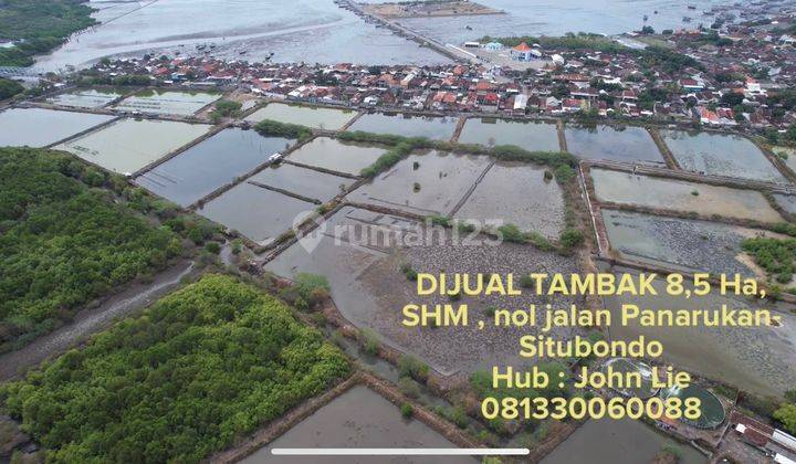 Dijual Tambak Udang Panarukan Situbondo, Sangat Strategis, Murah, Cocok Untuk Segala Usaha 1