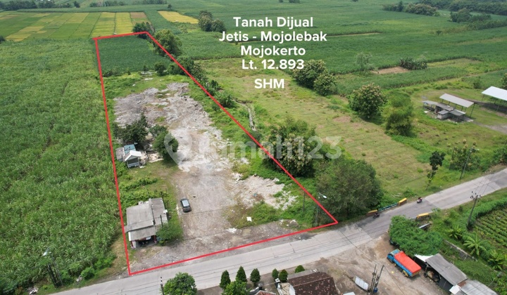 Tanah Industri Desa Jetis Mojolebak Kab Mojokerto, Lokasi Industri, Bagus, Akses Kontainer 40 Feet 1