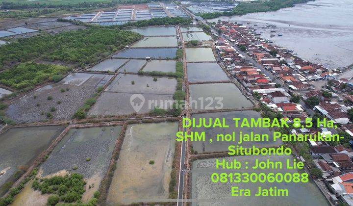 Tanah Tambak Raya Panarukan Situbondo Jawa Timur, Lokasi Strategis, Sekitar Ada Tambak, Pabrik Rumput Laut, Hatchery Dll 1