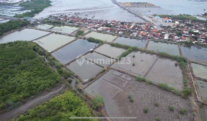 Dijual Tanah Komersil Ex Tambak Raya Panarukan Situbondo Jawa Timur, Arah Surabaya Bali, Sangat Strategis 1