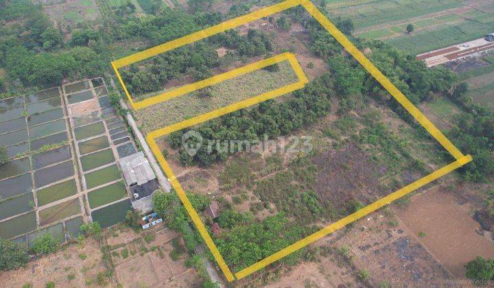 Jual Tanah Murah Bisa Untuk Perumahan zona Kuning. Bisa untuk peternakan juga, lokasi bagus , jurusan Pasuruan - Bromo. Harga nego , mau jual cepat. 1