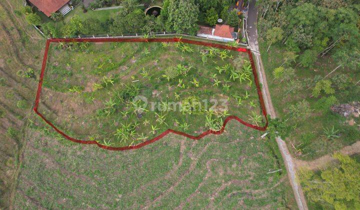 Dijual Tanah Kebun Trawas Samping Puncak Trawas 1