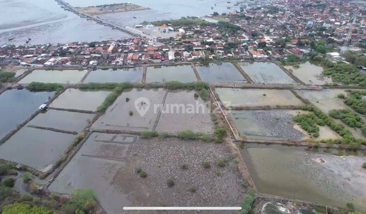 Tanah Komersil Raya Panarukan NOL Jalan Provinsi Surabaya - Bali 2