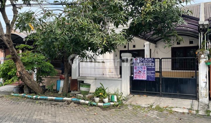 DIJUAL RUMAH RUNGKUT KOSAGRHA MEDOKAN AYU SURABAYA SELATAN READY DIJUAL RUMAH RUNGKUT KOSAGRHA MEDOKAN AYU SURABAYA SELATAN READY