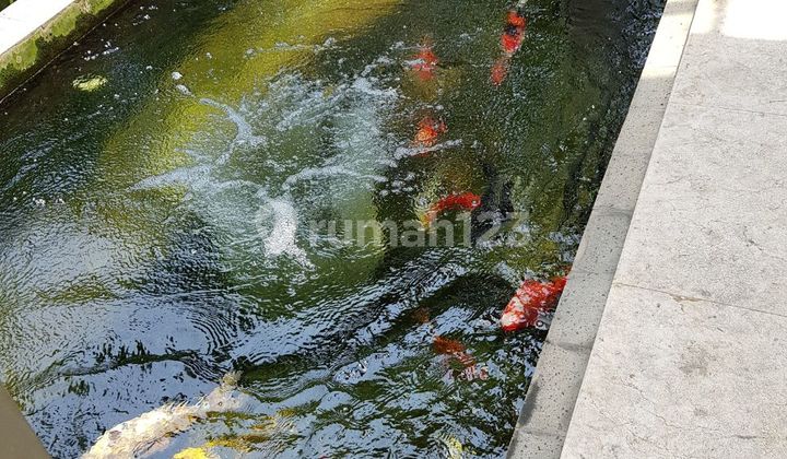 Rumah Taman Golf Timur Luas 1626m2 Pantai Indah Kapuk Pik, Murah Bagus 5