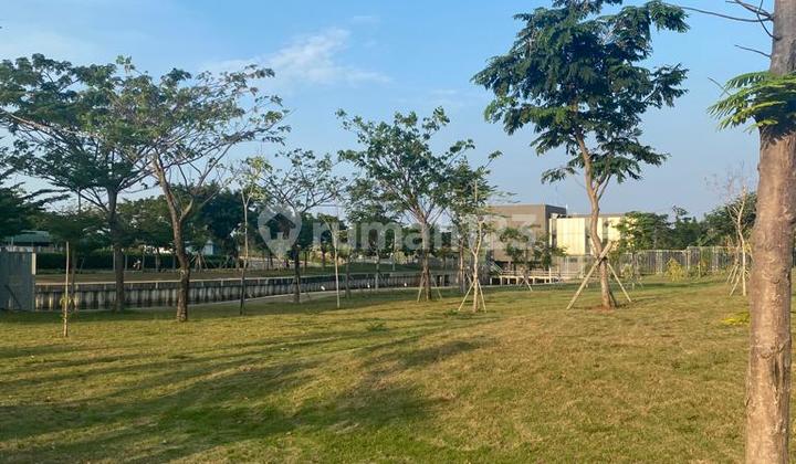 Kavling Golf Island Uk 10x30 Pantai Indah Kapuk Pik, Murah Bagus 