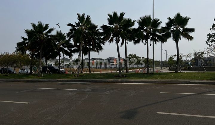 Kavling Komersil Luas 2000m2 Pantai Indah Kapuk Pik2,murah Bagus Kavling Komersil Luas 2000m2 Pantai Indah Kapuk Pik2,murah Bagus
