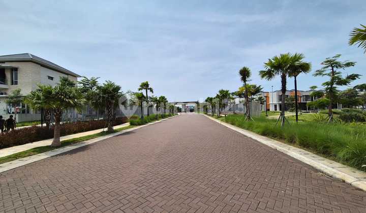 Palm Spring Plot Pik2 Area 525 m2
