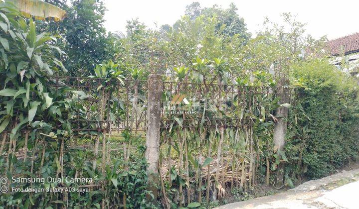 Dijual Tanah Kebun 1.300 di Desa Bantarsari, Kemang Kab Bogor 2