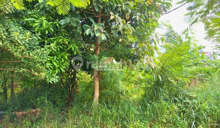 Tanah Kavling yang Strategis dan Cocok untuk Investasi