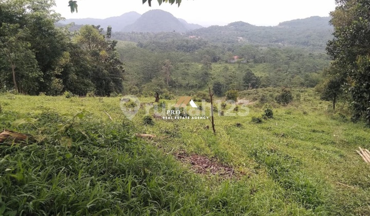 Wide Land Ready for Business Development - High-Value Green Investment