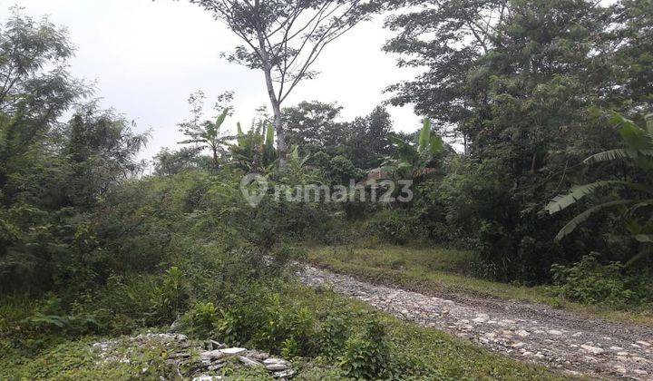 Tanah di Jl. Kalong Liud, Nanggung, Kab Bogor, Bogor 75.000 m² 2