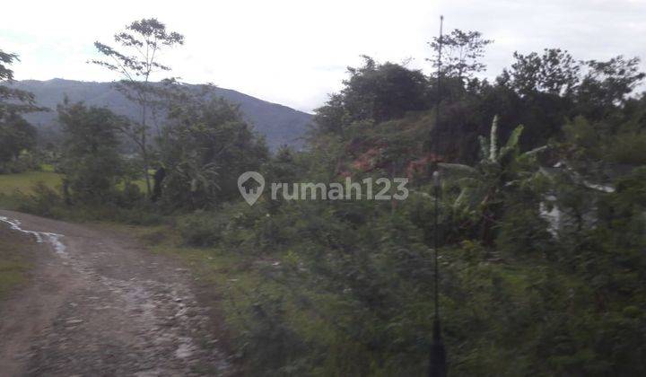 Tanah di Jl. Kalong Liud, Nanggung, Kab Bogor, Bogor 75.000 m² 10