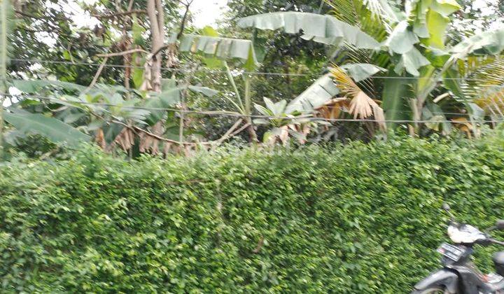 Rumah SHM Cocok Untuk Rumah Atau Villa di Loji Bogor 4