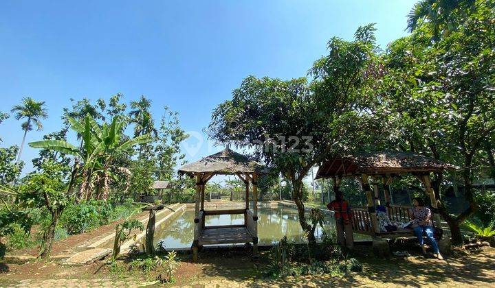 Dijual Tanah 9350 M2 Dan Rumah Luas Bangunan 250 M2 di Kp Bojong, Kemang 5