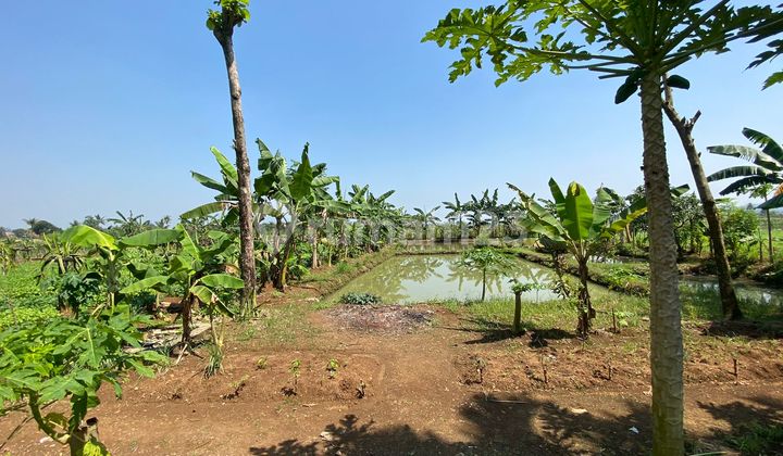 Dijual Tanah 9350 M2 Dan Rumah Luas Bangunan 250 M2 di Kp Bojong, Kemang 7