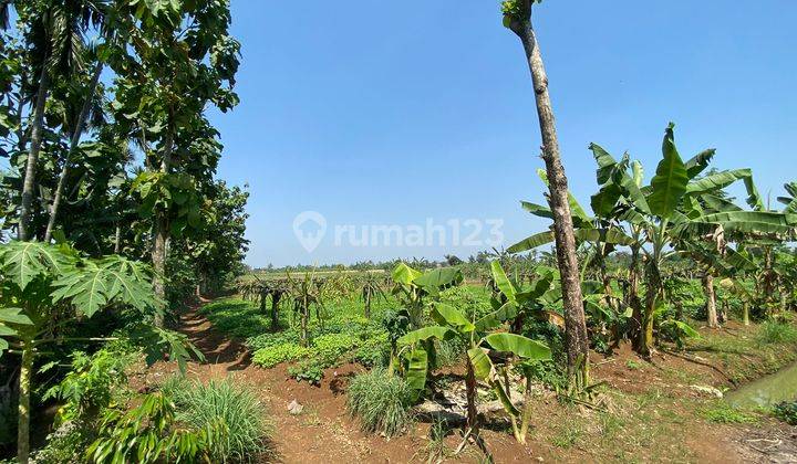 Dijual Tanah 9350 M2 Dan Rumah Luas Bangunan 250 M2 di Kp Bojong, Kemang 11