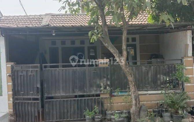 Rumah Tipe Dijual Di Ciampea Bogor Terbaru