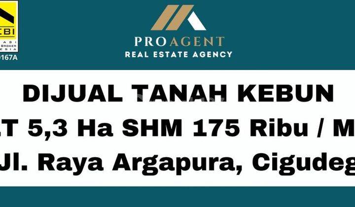 Dijual Tanah Kebun Sertifikat Hak Milik Cocok Untuk Peternakan di Cigudeg, Bogor 1