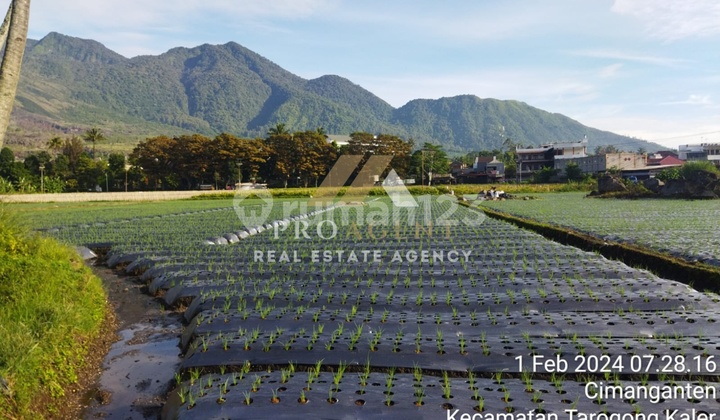 Dijual Tanah 3,7 Ha di Kawasan Wisata Cipanas Garut