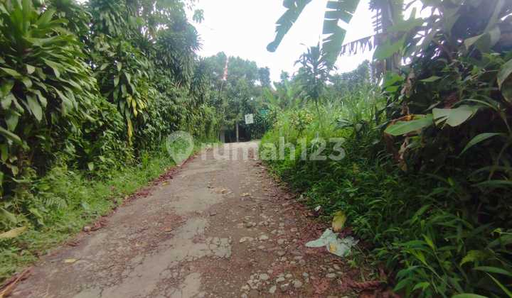 Dijual Tanah Cocok Untuk Resort Atau Villa di Tamansari, Bogor Dijual Tanah Cocok Untuk Resort Atau Villa di Tamansari, Bogor