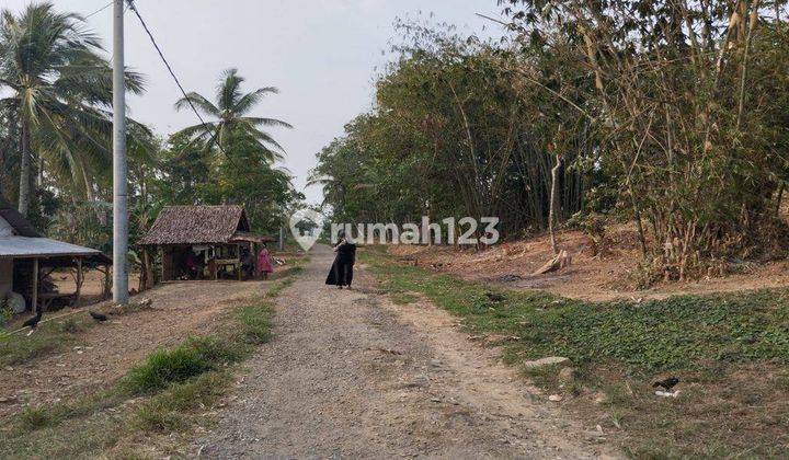 Dijual Tanah 11 Ha SHM di Labuan Pandeglang, Banten 1