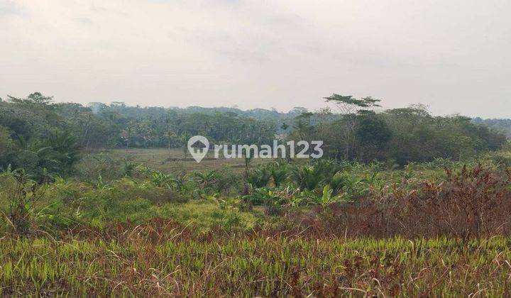 Dijual Tanah 11 Ha SHM di Labuan Pandeglang, Banten 2